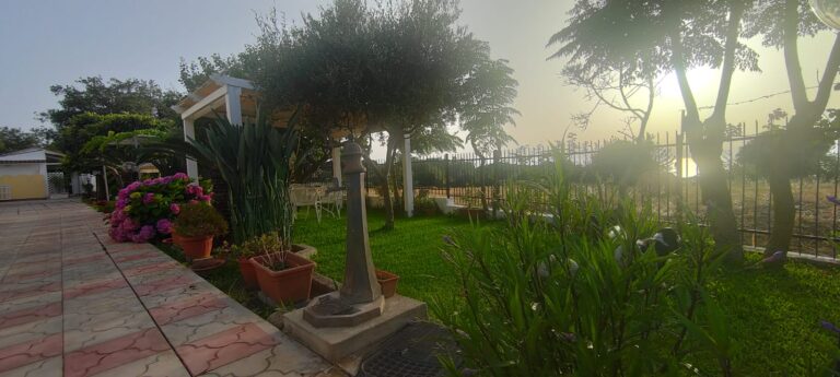 WhatsApp Image 2024-06-30 at 19.23.53 (2)